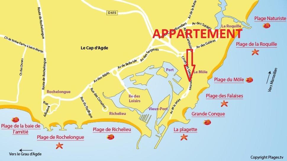 Cap D'Agde 300M Plage Du Mole,Vue Port,Parking,Lave Linge,Piscine Apartment ภายนอก รูปภาพ
