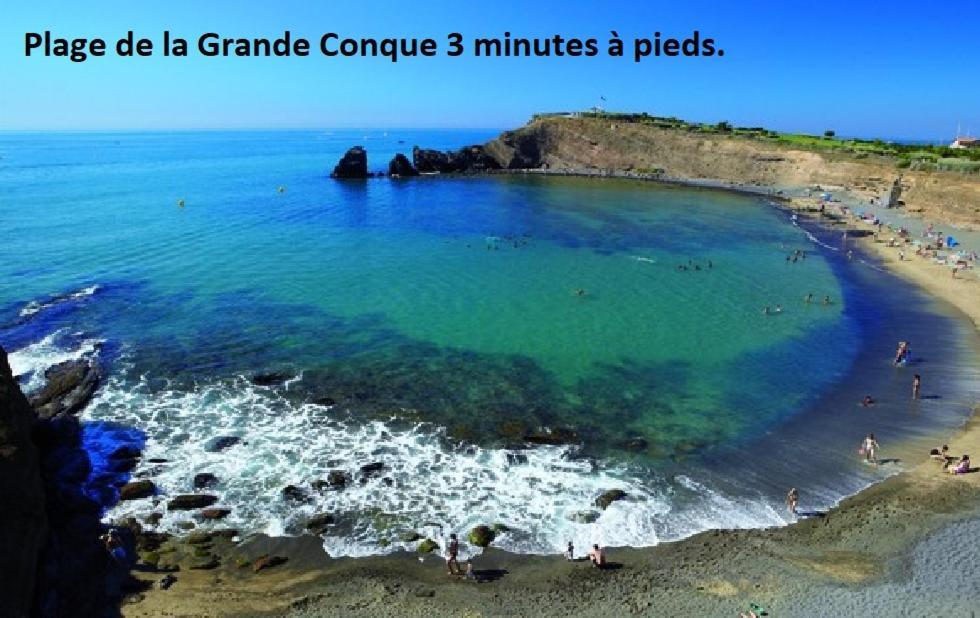 Cap D'Agde 300M Plage Du Mole,Vue Port,Parking,Lave Linge,Piscine Apartment ภายนอก รูปภาพ